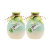 百亿补贴:浙一家女士青梅味米酒500ml×2瓶