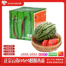 闽域寻鲜 云南高山麒麟西瓜 头茬麒麟西瓜皮薄脆甜新鲜水果 1个瓜 重4-5斤｜头茬新瓜 产少限量