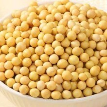 东北黄豆2斤 黄豆1000g/袋 两斤装 *2件 （买一赠一）