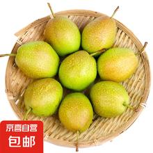 京喜 红香酥梨 河北特产 0.75kg