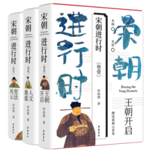 宋朝进行时1-3 (套装全3册)