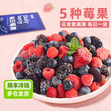 素坊 sofine 每日莓果 90g*14袋