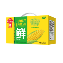 十月稻田 黄糯玉米4.4斤(220g*10根)  东北糯玉米 低脂礼盒 早餐杂粮59.9元 (券后省0.9,月销1w+)