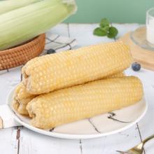 喜倩 鲜花 黑龙江白糯玉米 260-300g*2支 真空装