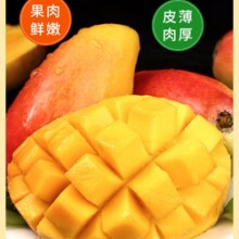 某宝买菜农场直发 海南贵妃芒 净重4.5斤 香甜大果150克+