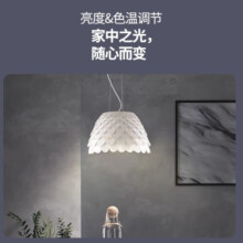智也已接入米家APP智能声控LED灯小夜灯e27螺口无极调光调色小爱语音 25W已接入米家APP（需要网关）