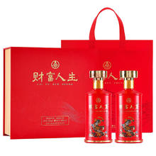 五粮液 WULIANGYE 财富人生 52度 浓香型白酒 500mL*2瓶