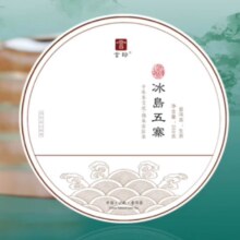 言印冰岛五寨 普洱茶生茶 冰岛普洱茶饼