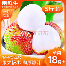 京鲜生 海南妃子笑新鲜荔枝 净重5斤 单果18g+￥40.9