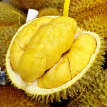 预售：泰国进口新鲜金枕头榴莲 整果带壳榴莲 新鲜生鲜水果 金枕榴莲5-7斤装（1-2个果）199元