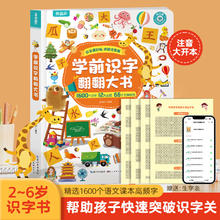 学前识字翻翻大书