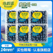 Driscoll's 怡颗莓 云南蓝莓 125g*6盒39.4元（需买2件，需用券）