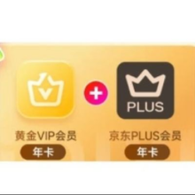 爱奇艺黄金VIP会员年卡+京东PLUS会员年卡148元（需领券）