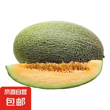 现货正宗保甜当季新鲜水果脆甜晓蜜哈密瓜 精选1.5-2斤3.84元