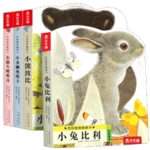 亮丽精美触摸书系列（全4册）小兔比利仿真触摸书幼儿启蒙早教书低幼认知绘本【0-2岁】宝宝绘本  省钱卡115元 (月销8000+)