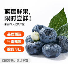 京鲜生 国产蓝莓 4盒 14mm+装125g/盒 生鲜水果 源头直发 包邮21.9元