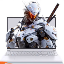 20号0点新品：机械革命 极光X 游戏本(i7-13700HX 16G 1T RTX5070 2.5K屏 300Hz)6367.21元（前150名晒单返200E卡）