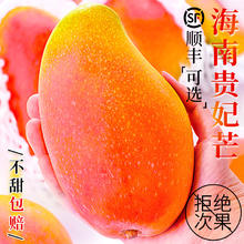 海南 探歌 海南贵妃芒 10斤 大果 整箱包邮券后5.8元