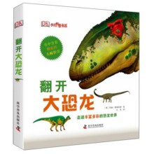 DK少儿科普书系：翻开大恐龙56元