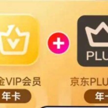 爱奇艺黄金VIP会员年卡加京东PLUS会员年卡148元（需领券，如有直播间券更优惠）