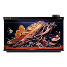 18点：当贝 智能生态鱼缸 1Ultra220.15元（需领券）