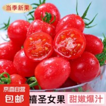 新鲜圣女果小西红柿小番茄新鲜蔬菜生鲜减肥减脂早餐沙拉现摘现发 畅享装 3斤 净重5元