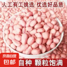 生花生米250g 买一送一到手500g4.5元（买一送一合2.25元/件）