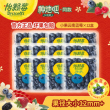 怡颗莓 当季云南蓝莓 国产新鲜蓝莓 小果125g*12盒79.9元（需领券）