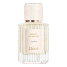 Chloe蔻依 仙境花园系列北国雪松浓香水50ml 木质花香调 生日礼物459元 (月销7000+)