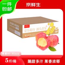 京鲜生 金良宝 烟台红富士 苹果 净重5斤单果200g+ 新鲜水果 源头直发 净重5斤80-8521.9元