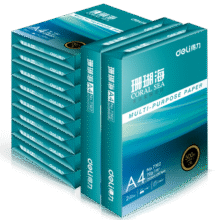 得力（deli）珊瑚海A4打印纸 70g500张*10包一箱 双面复印纸 企业采购优选 整箱5000张7363150.25元
