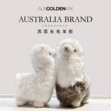 澳洲进口，Ausgolden 苏蕊长羊毛羊驼公仔 2色69.5元包邮