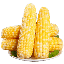 京鲜生云南水果玉米5斤 鲜甜玉米棒 甜脆多汁 新鲜蔬菜 源头直发包邮19.26元（需领券）