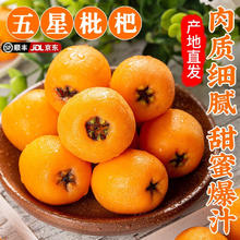 酷果汇 当季甜枇杷早钟大五星 顺丰/JD1斤- 单果40g+ (特大果) 产地源头直发 品质甄选券后14.9元