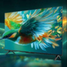 PLUS会员：TCL雷鸟 雀5 25款 65英寸电视 144Hz 远场语音 液晶平板电视机65F295C1486.8元包邮（返50元E卡）