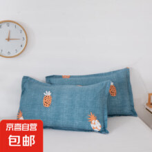 京喜自营 磨毛枕套 1只 48cmx74cm 颜色随机1元包邮(14点前有效 随时涨价)