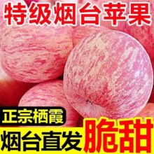 山东烟台红富士苹果 脆甜冰糖心丑苹果 75mm-80mm 5斤23.71元