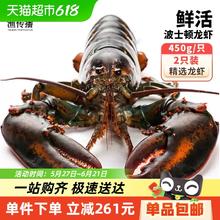 渔传播 加拿大鲜活波士顿大龙虾 450g/只 2只162元