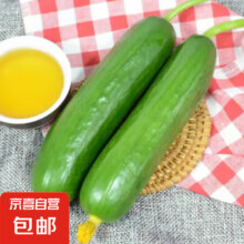 京喜自营 水果小黄瓜 3斤*2（含赠）10元包邮（买一送一，合5元/件）