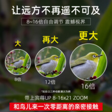 PENTAX日本宾得高倍高清变倍望远镜双筒UP系列变焦外观景观鸟旅游望眼镜 UP 8-16x21 黑色 8倍-16倍可调节1070元