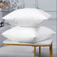 京喜自营 家用枕芯 本白色 一只装 40*60cm1元包邮