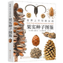 【无穷小亮推荐】世界上不可思议的果实种子图鉴（赠种子水晶吊坠）89元 (券后省100,月销1000+)