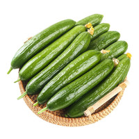 京觅 山东荷兰水果黄瓜 净重5斤 单果100g￥14.55