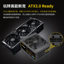 鑫谷（segotep）GM1000W ATX3.1金牌全模组电源（12V-2X6支持5080/5090显卡/全电压宽幅/台式游戏电脑主机箱电源）599元 (月销2000+)