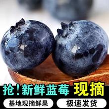 新鲜云南蓝莓 125g*8盒 单果15mm+券后41.5元