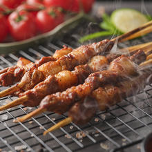 京东PLUS：草原宏宝 羔羊肉串 净重500g/袋 （4瘦1肥，20串）29.56元包邮（需买3件，需用券）