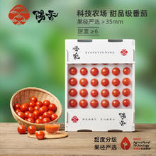 阳香 高端小番茄 2000g 甜度≥6