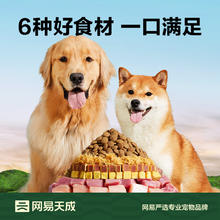网易严选 狗粮全价三拼犬粮 无谷三文鱼牛肉鸡肉鸭肉 柴犬 10kg*1袋券后157.55元