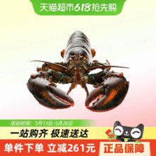 88VIP！渔传播 鲜活波士顿龙虾 450g*2只￥207.10 4.2折