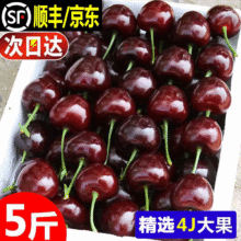 大口七八大樱桃5斤2斤3斤特大车厘子美早生新鲜水果礼盒整箱顺丰烟台山东 2斤(净重)  J 26mm(含)-28mm(不含）39.8元（需领券）